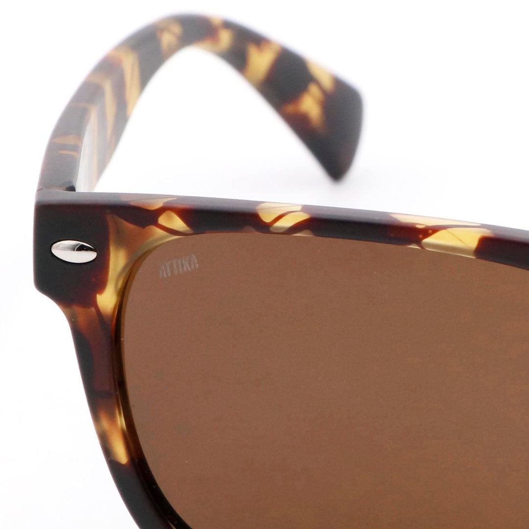 Jordan Eco-friendly Sunglasses - Tortoiseshell/Amber